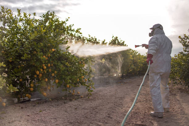 Professional Pest Control in Santa Rita Ranch, TX